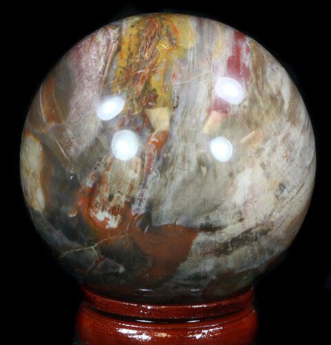 Colorful Petrified Wood Sphere #36964